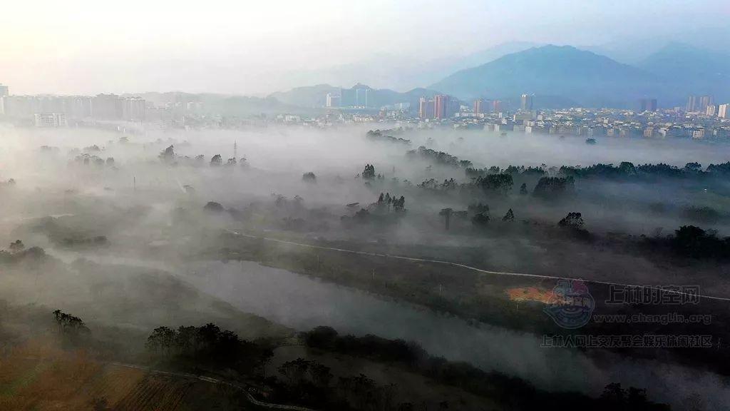 老是故意鸽子你。啥心态?-快速解答你的所有问题