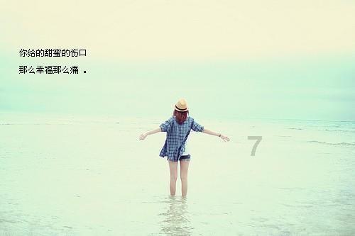瑞德的冒险之旅中文版